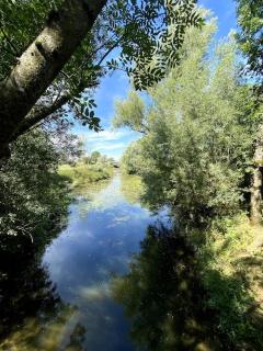 appartement - Beaupont - 1