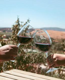 La Cima del Valle - Valle de Guadalupe - 9