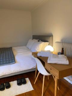 Unik BnB midt i byen - Herning - 9