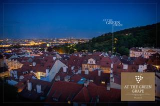 Hotel At the Green Grape - Prag - 7