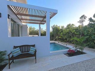 Gracehaven Villas -Choose you own private villa with pool - 250 yds to Grace Bay beach - Providenciales - 2