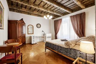 At the Blue Lion & Parking Assistance - Praga - 6