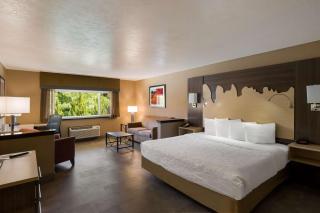 Best Western Plus Canyonlands Inn - 7