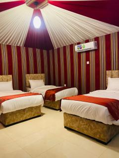 Al Reem Luxury Camp - Disah - 3