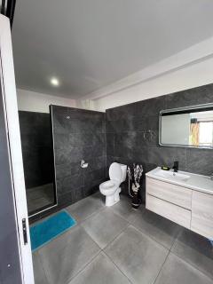 2 accomodations -Studio du Manoir -Le Manoir - Punaauia - 4