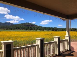 The Grand Getaway at Williams - Family Friendly for up to 8 & Walking Distance to the GC Railway - Williams - 9