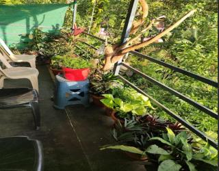 Coorg Bharika Homestay by StayApart - Madikeri - 8