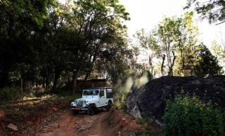 Nature Zone Jungle Resort - Munnar - 6
