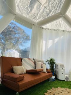 Coonawarra Hampton Bubble 3 - Coonawarra - 7