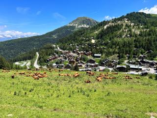 Le Trénèl - La Plagne Tarentaise - 3