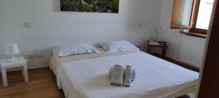 APPARTAMENTO PAOLA - Udine - 7
