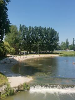 The Walnut tree. - 6