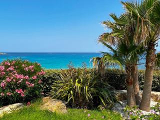 Luxury beach front Villa & Private garden - Lumio - 9