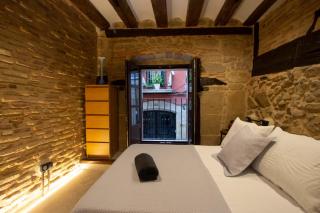 PALACIO DEL MARQUES DE SAN NICOLAS - Logroño - 5