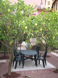 Apartment with private Garden - 6