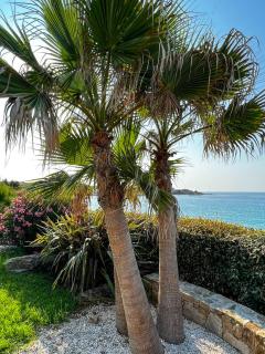 Luxury beach front Villa & Private garden - Lumio - 4