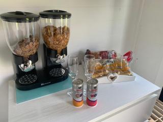 Dolafon farm luxury glamping cabin with hot tub - St Asaph - 1