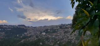 Rajbari Farms - Darjeeling - 1