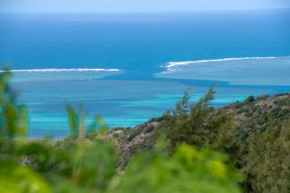 Le Tropical Chez Jeannette - 9