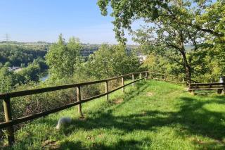 Exklusive Wohnung mit herrlicher Terrasse und Garten - Ludwigsburg - 1