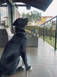 Villa Anny - 6