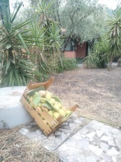 Cuntarati Nature Tourism - Simeto Etna - Bronte - 5