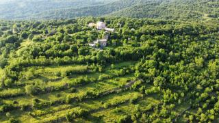 Casa del Conte - Peaceful Hideaway in North Istria - 1
