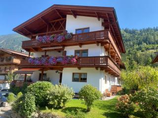 Pension Schwemberger ohne Frühstück - Mayrhofen - 0