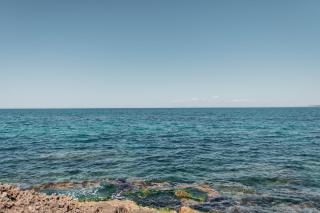 Casa Fico d'India - Salentria - Gallipoli - 7