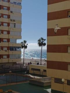 Alegrías de Cádiz by Gades Gestión - Cadice - 3