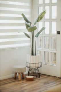 Blvd Sunset, a spot to relax - 2