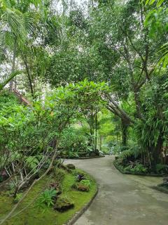 บ้านสวนภูรจิตร Baansuanphurajit - Ban Nong Pa Kha - 0