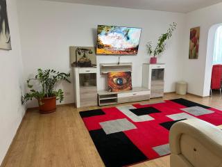 Afrodita Apartment - Timişoara - 0