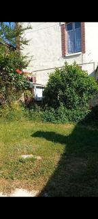 Fleurs de loutus 2 - Romilly-sur-Seine - 1