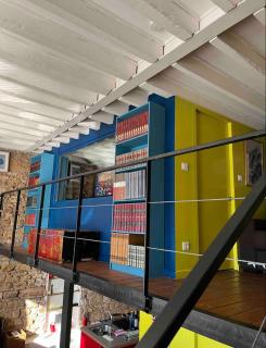 Loft sur saône - Lyon - 1