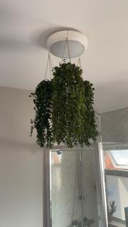 Lwr Ormeau Guest House - Belfast - 8