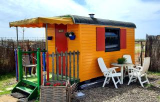 B&B boerderij rust, in pipowagens! - Den Helder - 6