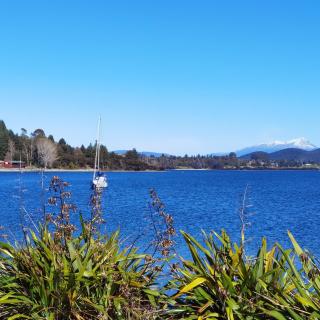 Kea by the Lake - Te Anau - 9