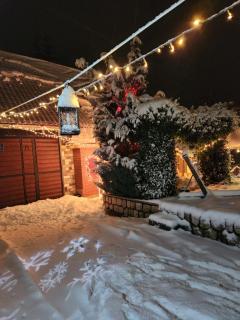 Angel Holiday House - Ravna Gora - 3