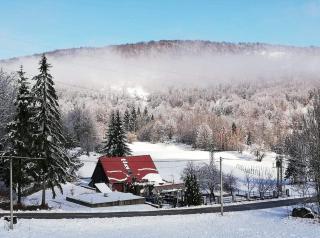 Angel Holiday House - Ravna Gora - 4