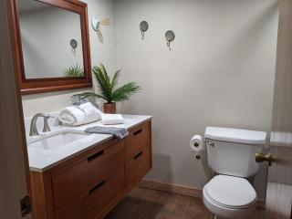 Loblolly Pines CenterPoint Camp House - Eureka Springs - 8