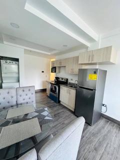 Great Apartment with Private Terrace near Centro Cívico - Tegucigalpa - 2