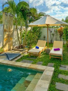 Nate's Villa - 2 Bedroom Villa Private Pool near Lovina Bali - Banjar - 8