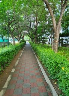 A Four Leaf Clover House - Namyangju - 0