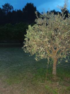 Location venelles - Venelles - 2