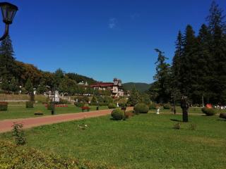 Apartamentul ALFA - Slănic-Moldova - 1