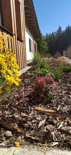 Nový apartmán v klidu Jizerek - 8