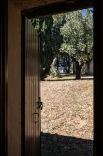 Tenuta Querce Grosse- Le Dimore - Francavilla al Mare - 4