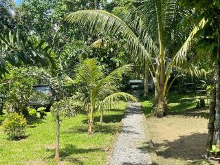 The Twin Studio Cottages - 4