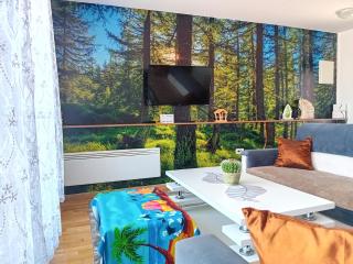Apartman "AROMA 1"Bjelasnica - Bjelašnica - 8